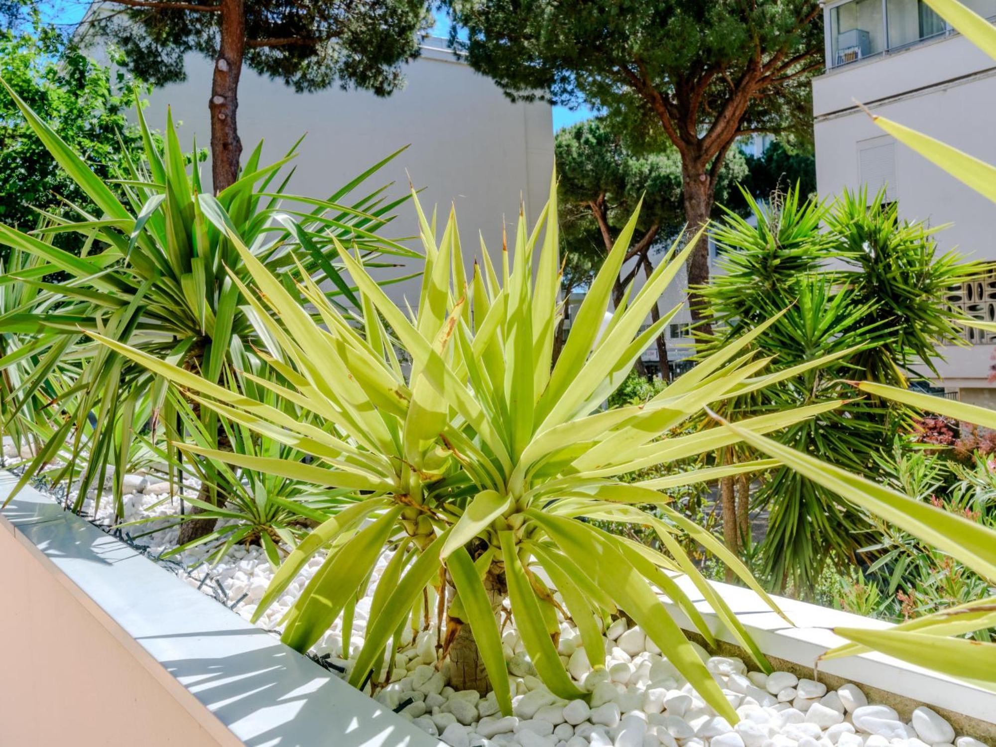 Apartment Antinea-4 By Interhome لا غراند موت المظهر الخارجي الصورة